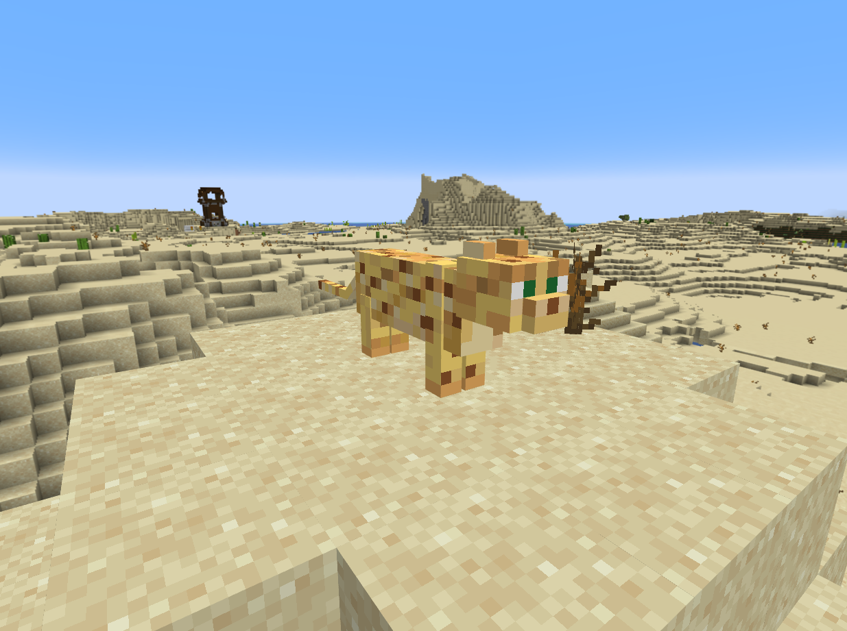 Funky Cheetah